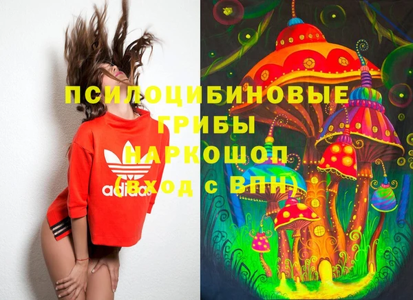 винт Богданович