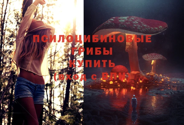 крисы Богородск