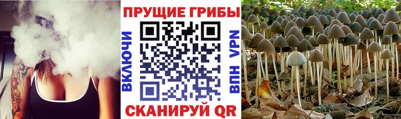 Купить закладки  Лаишево  Псилоцибиновые грибы ЛСД 
